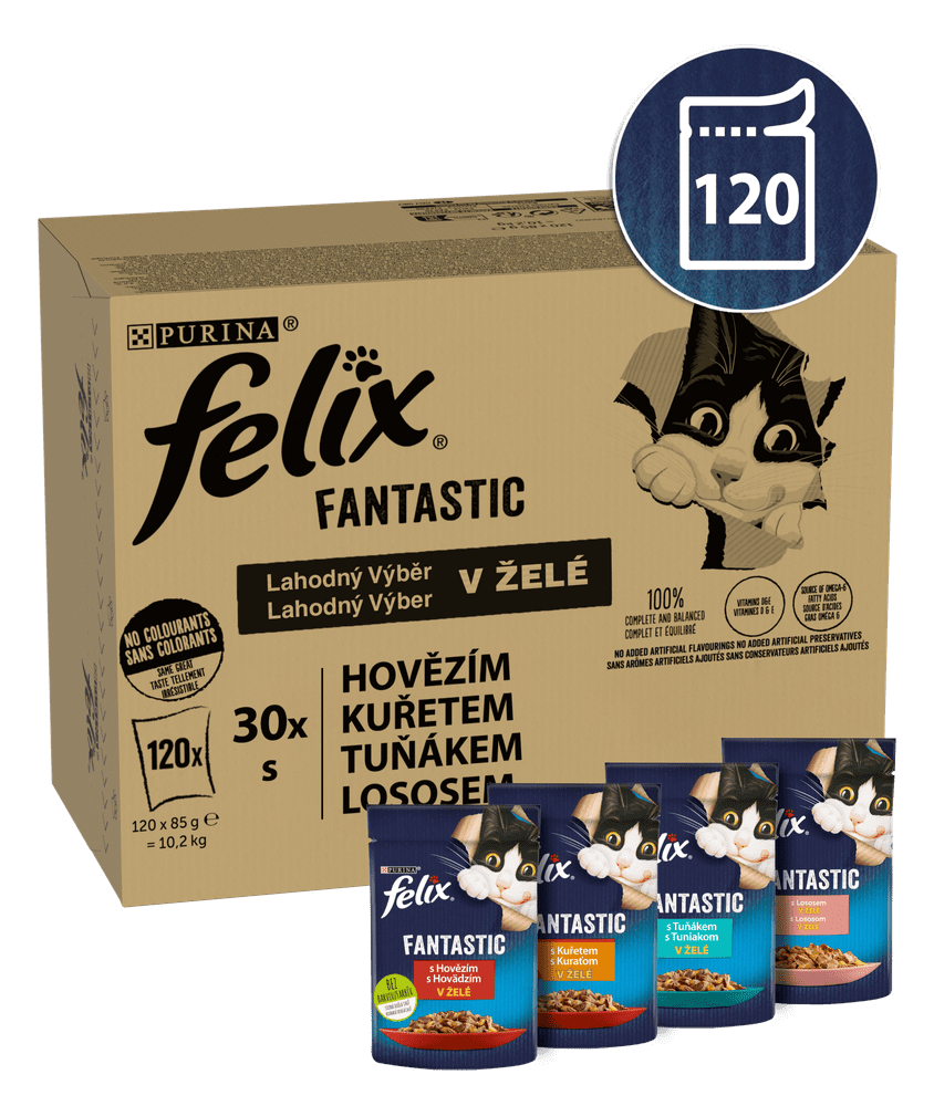 Levně Felix FANTASTIC multipack lahodný výběr v želé 120 x 85 g