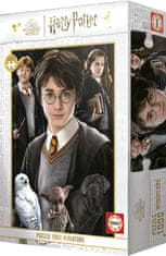 Educa Miniaturní puzzle Harry Potter 1000 dílků