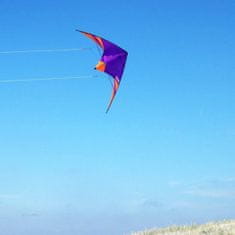 TWM kaskadérský drak Skydart 82 x 175 cm polyester fialový