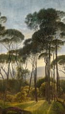 Vliesová obrazová tapeta na zeď Stromy, příroda A46301, 159 x 280 cm, One roll