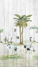 Vliesová obrazová tapeta Tropický les, Palmy A39401, 159 x 280 cm, One roll, Murals