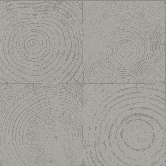 Vliesová tapeta na zeď šedá, imitace dřeva s letokruhy 347548, Matières - Wood, 0,53 x 10,05 m