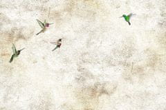 Vliesová obrazová tapeta Kolibříci 85001, 368 x 280 cm, Photomurals