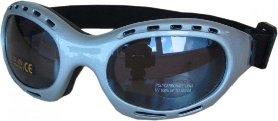 HolidaySport Brýle na běžky Cortini Spaio silver