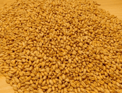 Horňácká farma BIO Pšenice ozimá - různá balení Hmotnost: 500 g