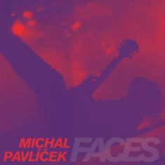 Pavlíček Michal: Faces (4xLP)