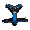 Postroj 3x-Sport Blue Xs