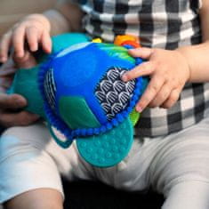 Baby Einstein Hračka aktivní na C kroužku želva Neptune’s Sensory Sidekick 0m+
