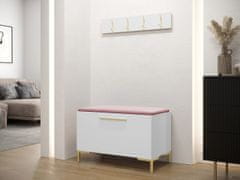 Veneti Nábytek do předsíně s čalouněnými panely ANDORA 7 - bílý / růžový