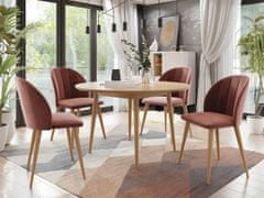 Veneti Kulatý jídelní stůl 120 cm se 4 židlemi NOWEN 1 - přírodní dřevo / růžový