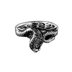 Amiatex Stříbrný prsten 15238, 54