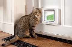 SurePetcare Dvířka SureFlap s mikročipem pro kočky