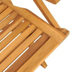 Petromila Skládací zahradní židle 2 ks 56x63x90 cm masivní teakové dřevo