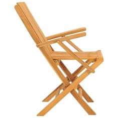 Petromila Skládací zahradní židle 2 ks 61x67x90 cm masivní teakové dřevo