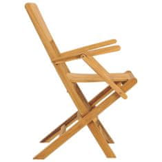 Petromila Skládací zahradní židle 2 ks 55x61x90 cm masivní teakové dřevo