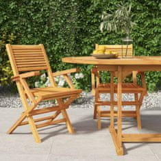 Petromila Skládací zahradní židle 2 ks 55x62x90 cm masivní teakové dřevo