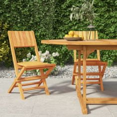 Petromila Skládací zahradní židle 2 ks 47x61x90 cm masivní teakové dřevo