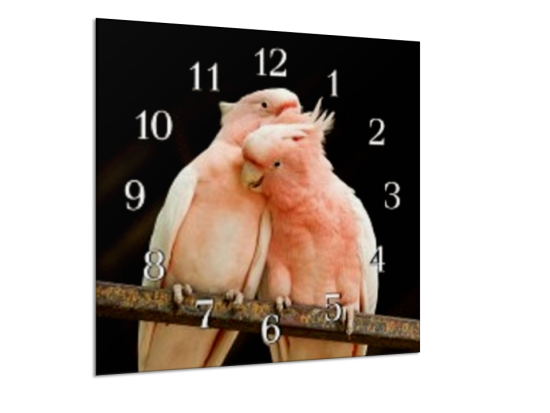 Glasdekor Nástěnné hodiny 30x30cm papoušek kakadu pár