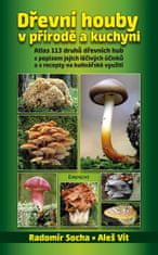 Radomír Socha: Dřevní houby v přírodě a kuchyni - Atlas 113 druhů dřevních hub s popisem jejich léčivých účinků a s recepty