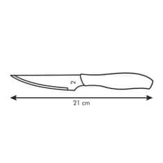 Tescoma Nůž steakový SONIC 10 cm