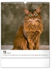Grooters Nástěnný kalendář Kočky 2024, 30 × 34 cm