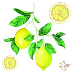 Crearreda Samolepicí dekorace Crearreda WA M Lemons 54122 citrony