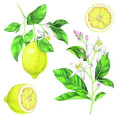 Crearreda Samolepicí dekorace Crearreda WA M Lemons 54122 citrony