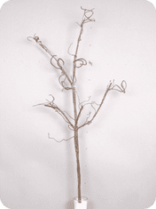 C7.cz Flex twig branch hnědá 108 cm (N905998)