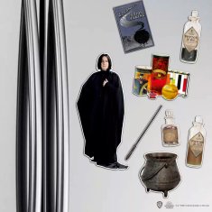 Grooters Sada magnetek Harry Potter - Severus Snape
