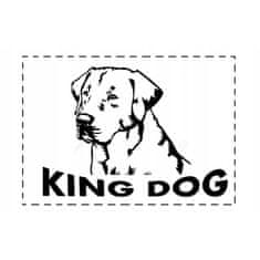 KINGDOG KingDog Šedé Voděodolný lehátko pro psy 75x65 cm