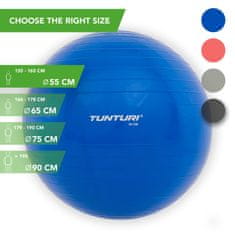Tunturi Gymnastický míč TUNTURI 65 cm modrý