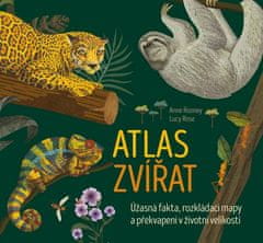 Anne Rooneyová: Atlas zvířat