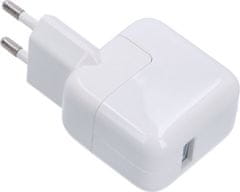 USB nabíjecí adaptér Eu pro iPad bílý 12W