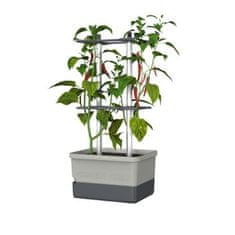 GUSTA GARDEN Hydroponický Kultivační Květináč pro Rychlý Růst Paprik a Chilli (Šedá) - CHARLY CHILI