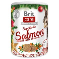 Brit BRIT Care Cat Christmas Superfruits 100 g