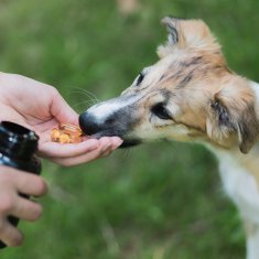Akinu VITALITY Omega 3 Vitamín E doplněk stravy pro psy 125 ks