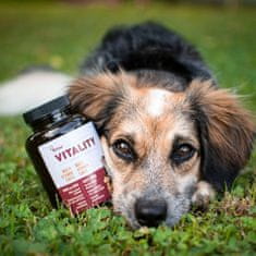 Akinu VITALITY Multivitamín Forte doplněk stravy pro psy 120 g