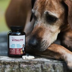 Akinu VITALITY Žraločí chrupavka Vitamín C doplněk stravy pro psy 150 ks
