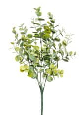 C7.cz Blahovičník - Eukalyptus keř zelená (x25) v34 cm (FB108383800)