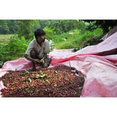 COFFEEDREAM Káva INDIE PLANTATION BABABUDANGIRI - Hmotnost: 500g, Typ kávy: Hrubé mletí - frenchpress, filtrovaná káva, Způsob balení: běžný třívrstvý sáček