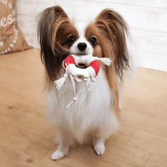 Japan Premium Gumová hračka s bavlněnou zubní nití "Záchranný kruh" pro psy