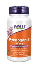 NOW Foods Pycnogenol s Acerolou a Rutinem, 60 mg, 50 rostlinných kapslí