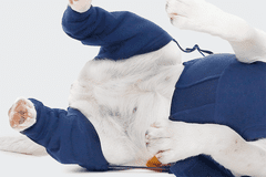 MPS Pooperační ochranný návlek na zadní nohy psa XXS