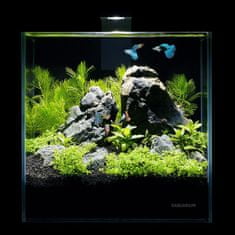 Aqualighter Akvárium - pico set 5l