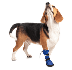 MPS Pooperační ochranná bota pro psa XS