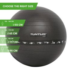 Tunturi Gymnastický míč TUNTURI zesílený 55 cm černý