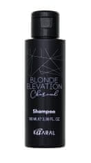 Kaaral Charcoal tónovací šampon s aktivním černým uhlím 100 ml
