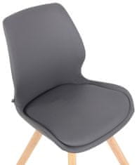 BHM Germany Jídelní židle Luna (SET 2 ks), syntetická kůže, šedá