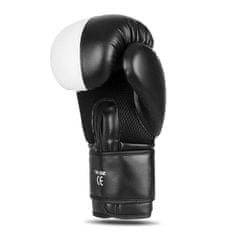 DBX BUSHIDO boxerské rukavice B-2v20 velikost 10 oz
