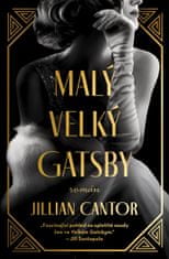 Cantorová Jillian: Malý velký Gatsby